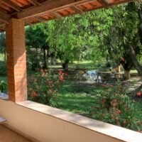clinica-espaco-natureza-img (12)