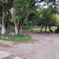 clinica-espaco-natureza-img (14)