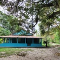clinica-espaco-natureza-img (2)