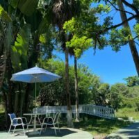 clinica-espaco-natureza-img (20)