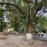 clinica-espaco-natureza-img (3)