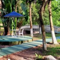clinica-espaco-natureza-img (5)