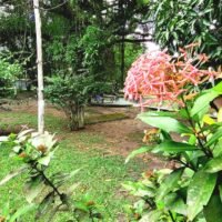 clinica-espaco-natureza-img (7)